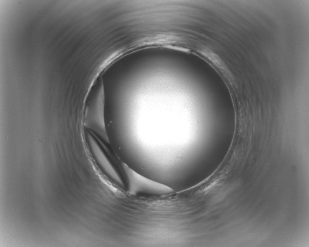 X0000066020850200603171530