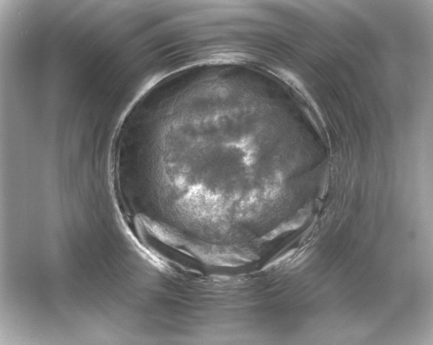 X0000066020851200603171530