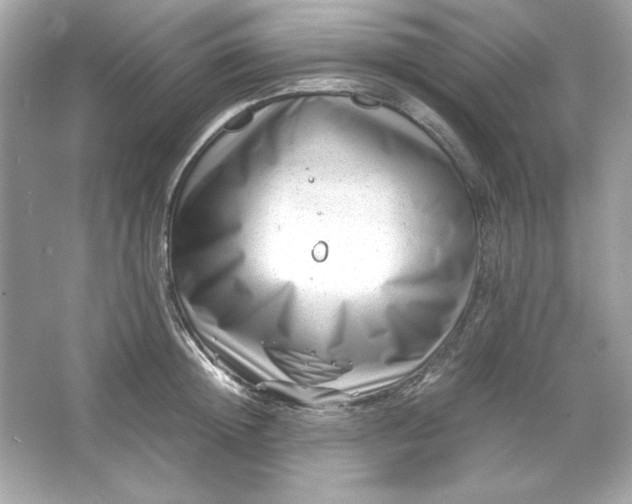 X0000066020852200603171530