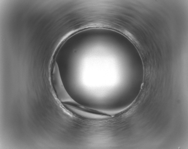 X0000066020854200603171530