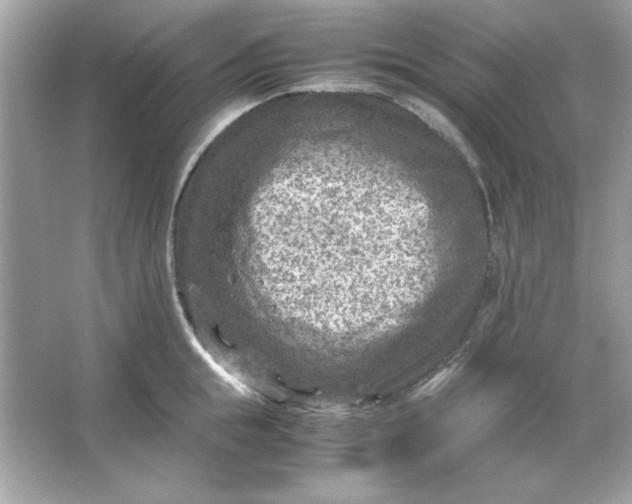 X0000066020855200603171530