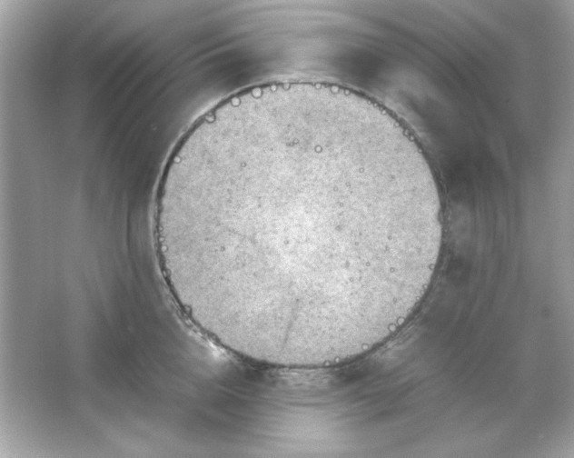 X0000066020856200603171530