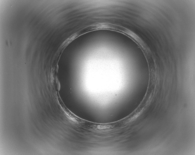 X0000066020857200603171530