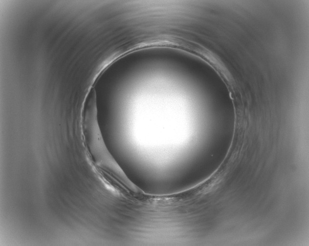 X0000066020858200603171530