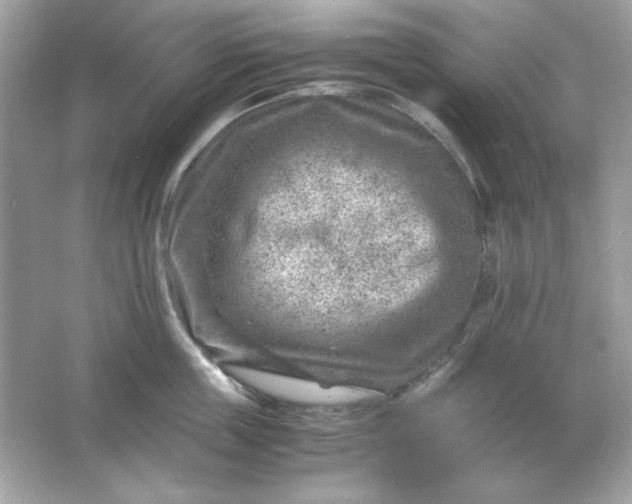 X0000066020859200603171530