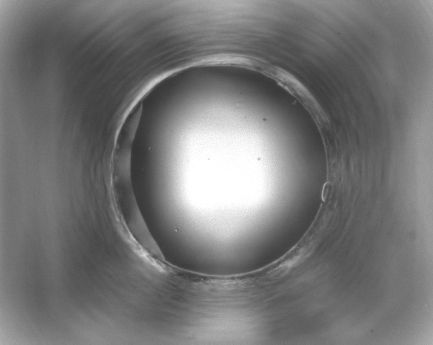 X0000066020860200603171530