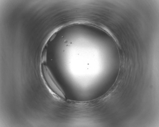 X0000066020861200603171530