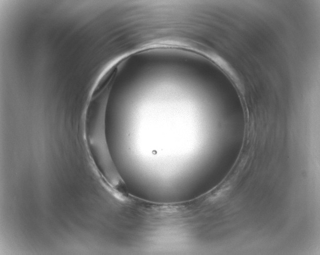 X0000066020862200603171530