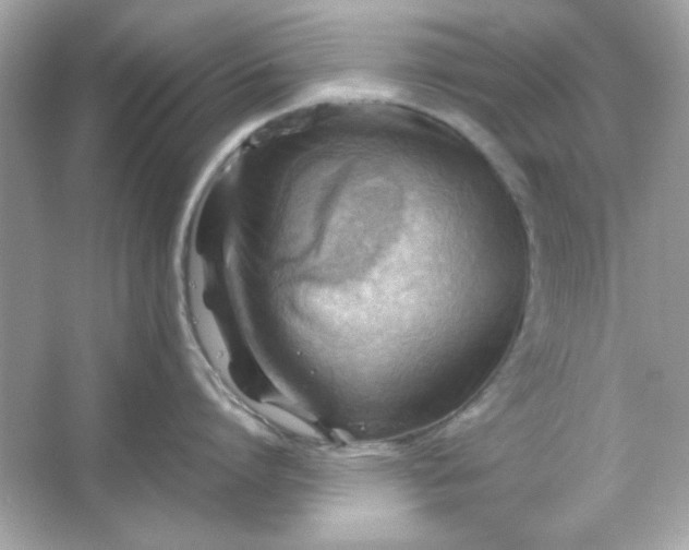 X0000066020864200603171530