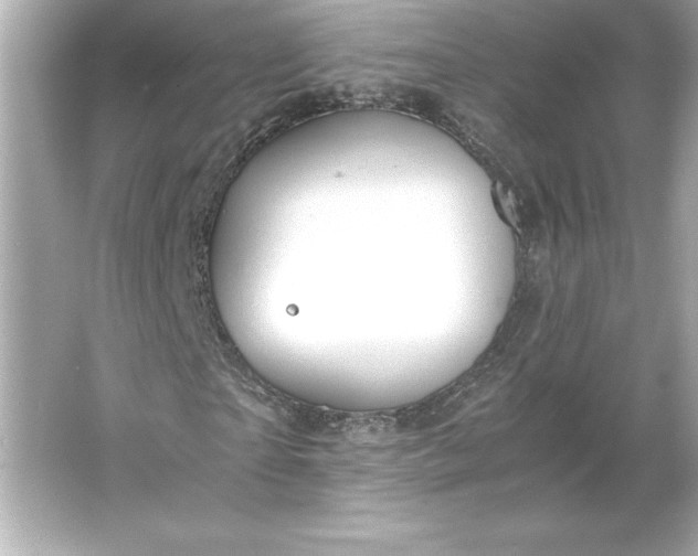 X0000066020865200603171529