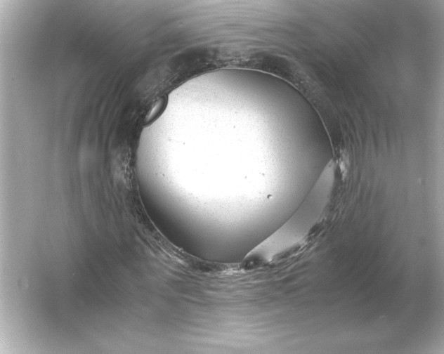 X0000066020867200603171529