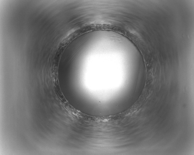 X0000066020870200603171529