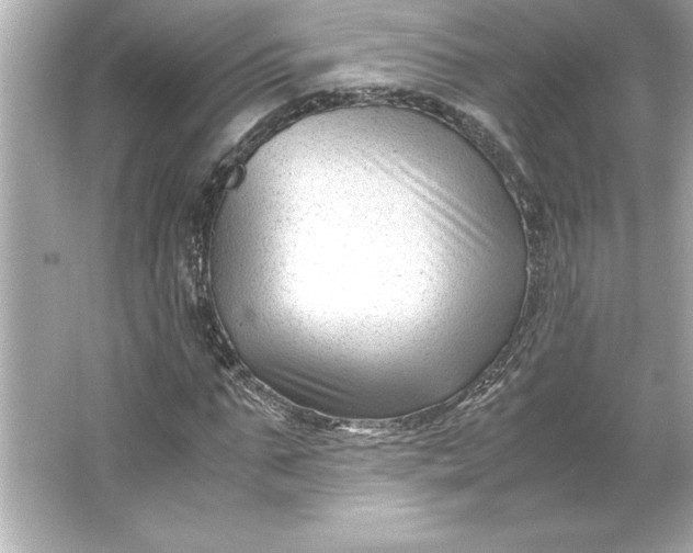 X0000066020871200603171529