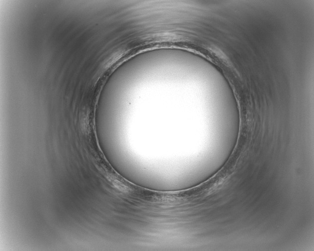 X0000066020873200603171529