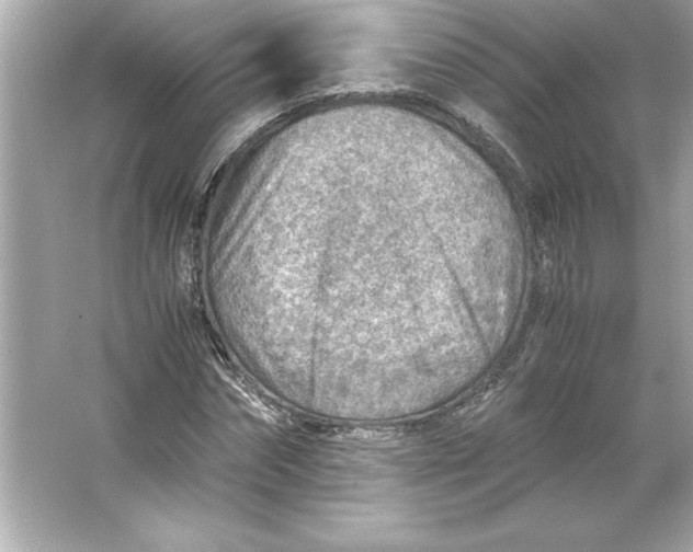 X0000066020874200603171529