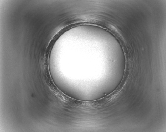 X0000066020875200603171529