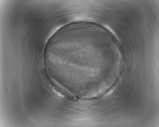 X0000066020877200603171529