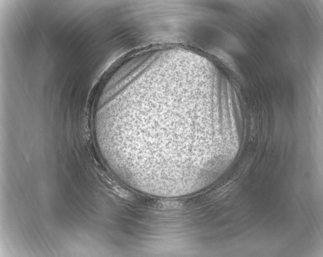 X0000066020878200603171529