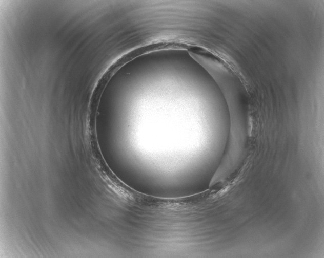 X0000066020880200603171529