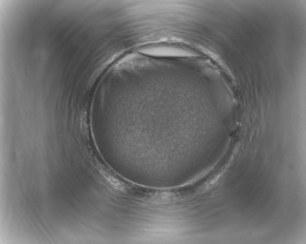 X0000066020881200603171529