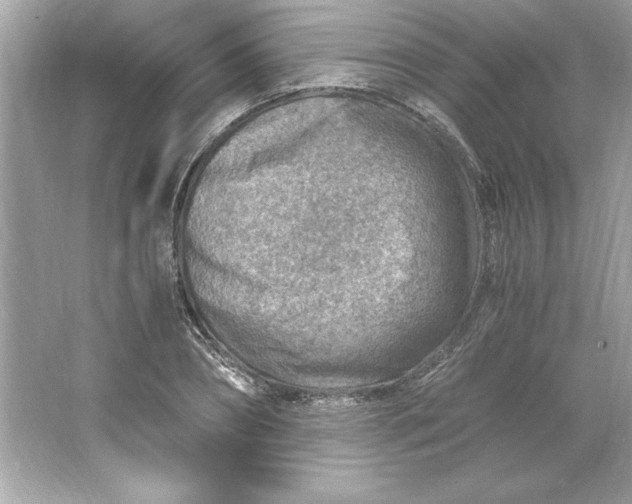 X0000066020882200603171529