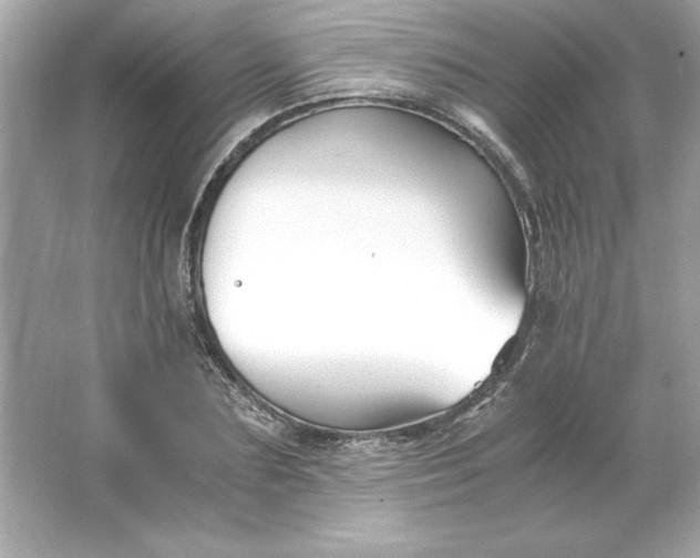 X0000066020883200603171529