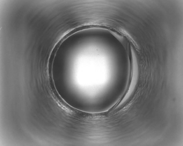 X0000066020884200603171529