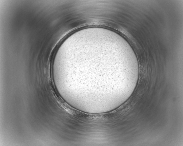 X0000066020886200603171529