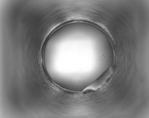 X0000066020887200603171529