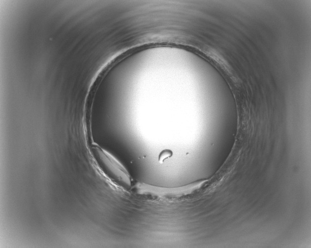 X0000066020888200603171529