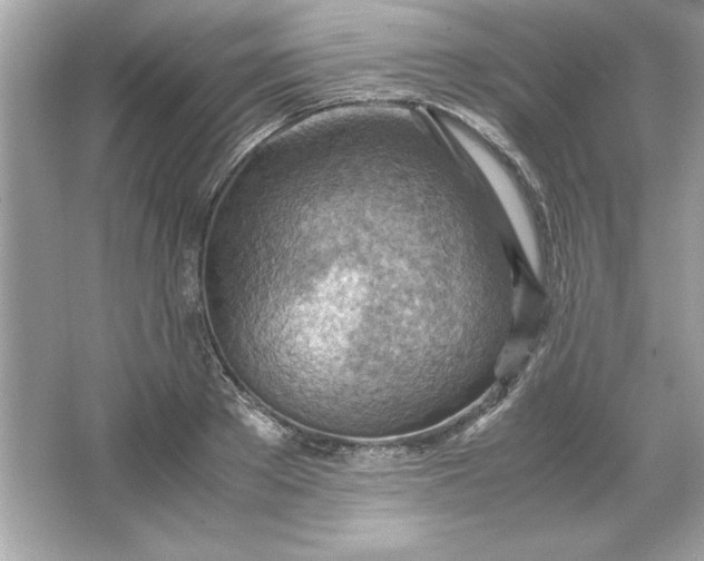 X0000066020889200603171529