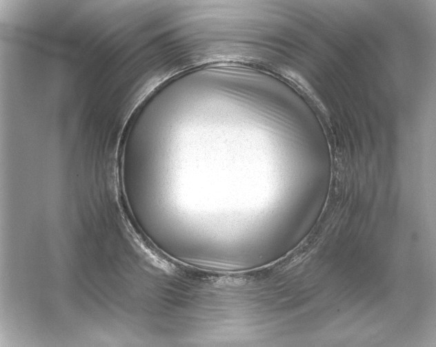 X0000066020890200603171529