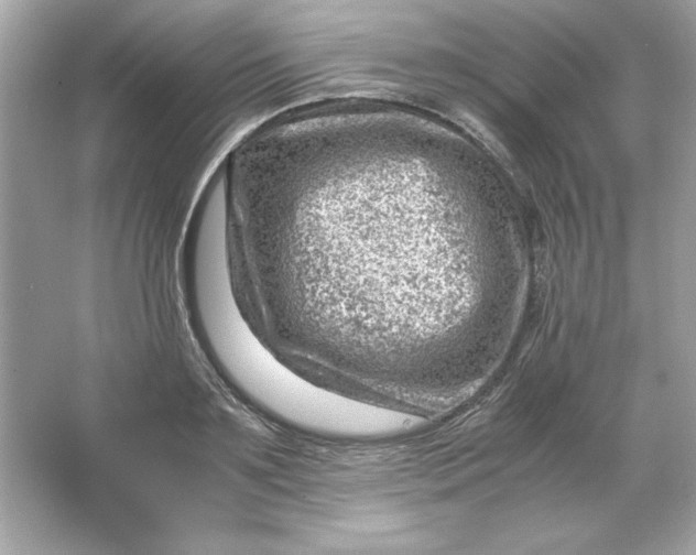 X0000066020891200603171529