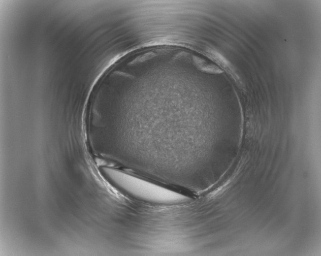 X0000066020892200603171529