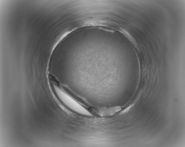 X0000066020893200603171529