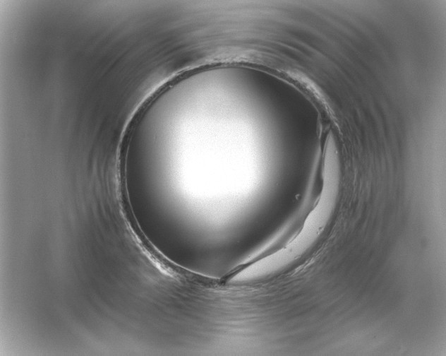 X0000066020894200603171529