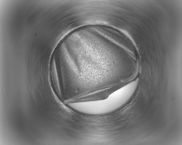 X0000066020895200603171529