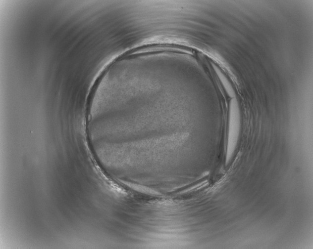 X0000066020896200603171529