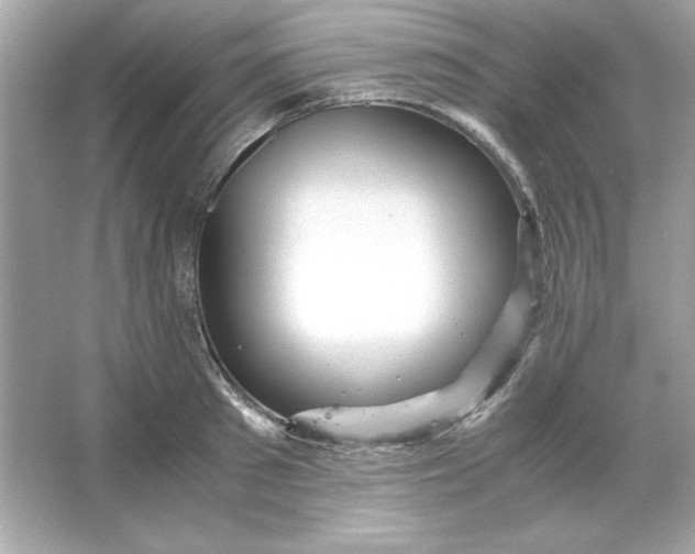 X0000066020897200603171529