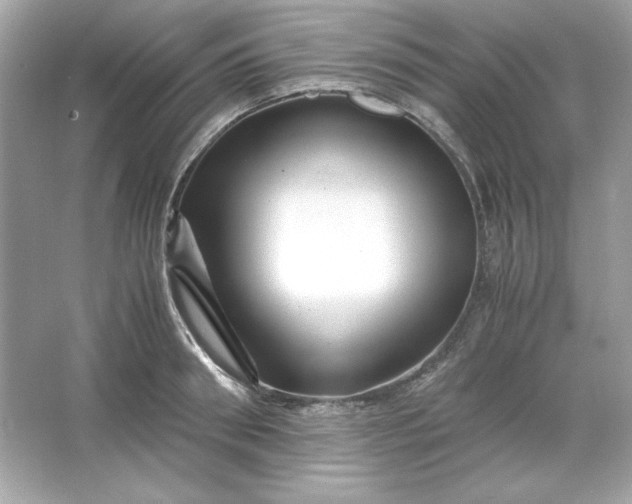 X0000066020898200603171529