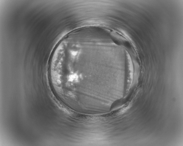 X0000066020899200603171529