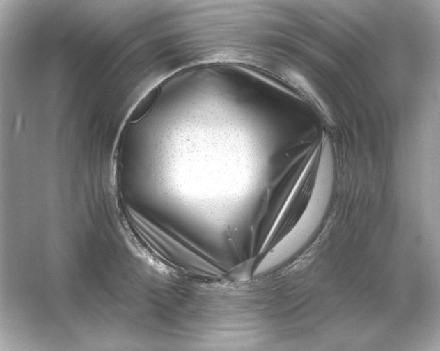 X0000066020900200603171529