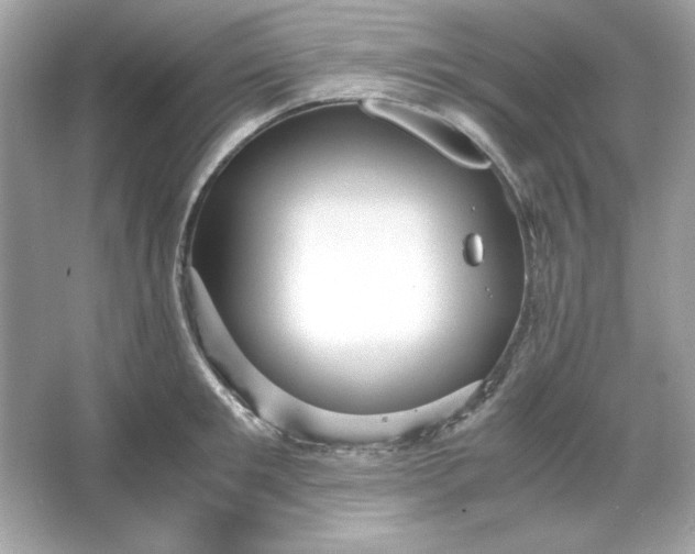 X0000066020901200603171529