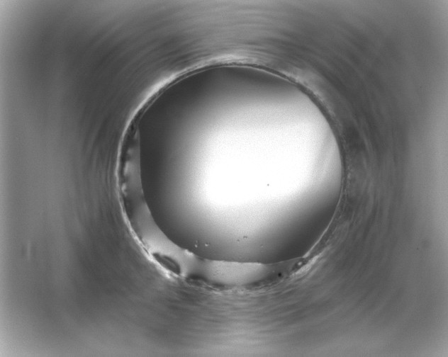 X0000066020902200603171529