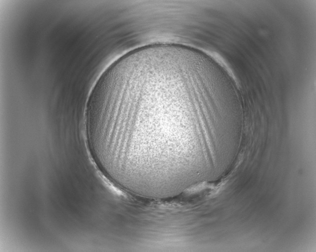 X0000066020903200603171529