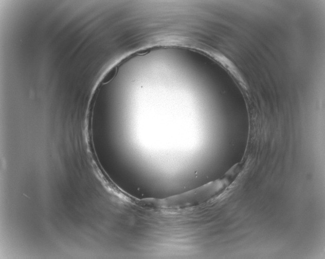 X0000066020904200603171529