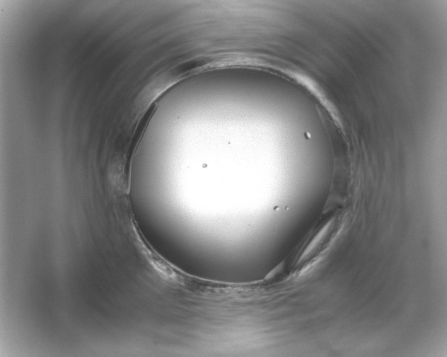 X0000066020905200603171528