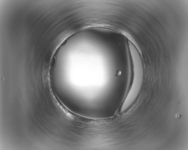 X0000066020906200603171528