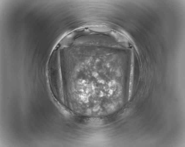 X0000066020907200603171528