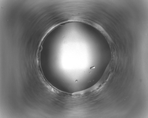 X0000066020908200603171528